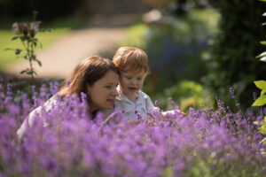An adult with light skin and shoulder-length brown hair kneels next to a young child with light skin and short red hair. They are surrounded by lavender plants in a sunny garden.