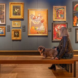 An adult with grey shoulder-length hair sits next to a small brown dog on a bench in an art gallery. On the wall behind them is a variety of colourful still-life paintings.