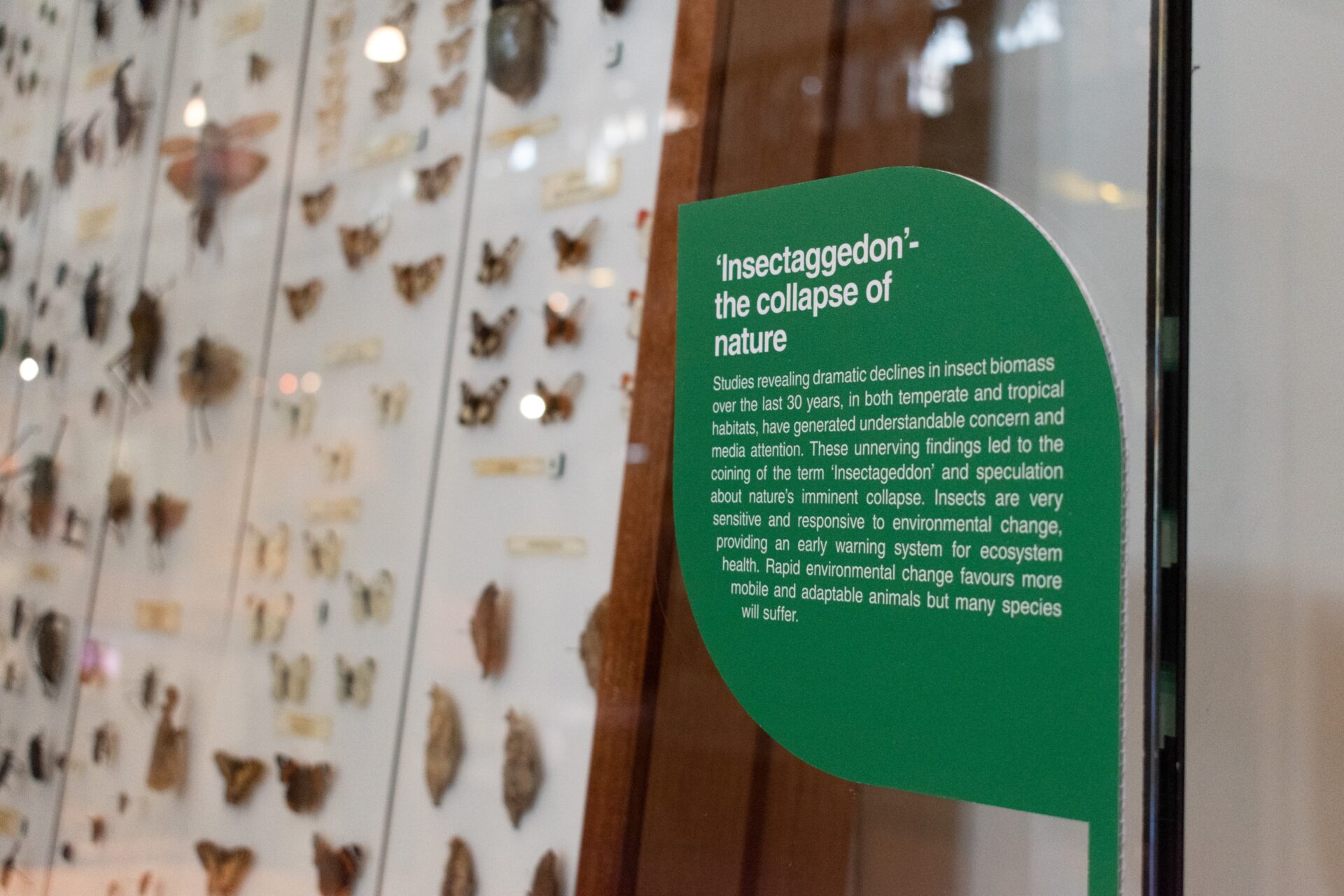focus-on-climate-action-museums-galleries-scotland