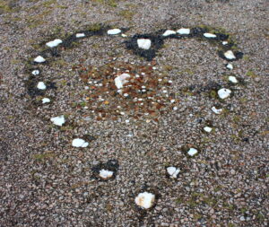 A collection of small white stone arranged into a heart shape. At the centre of the heart is a pile of coins.
