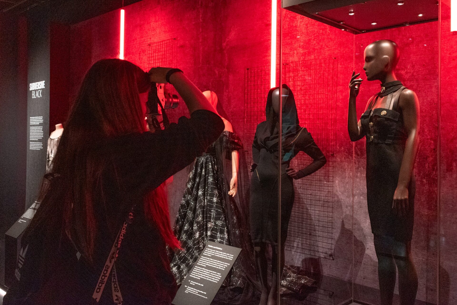 My Career Ready Internship Museums Galleries Scotland