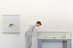An adult with short brown hair, light skin and white clothes looks down at a glass case displaying animal bones.